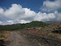 nte Rinatu-20110615 008